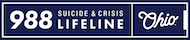 988 Logo